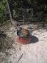 gal/Ile Maurice/_thb_SP_A0129_Ile_aux Benitiers.jpg
